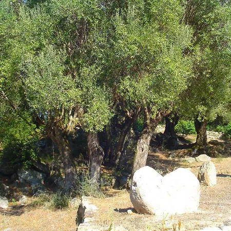 I Caseddi Di Filitosa Parco vacanze 3*